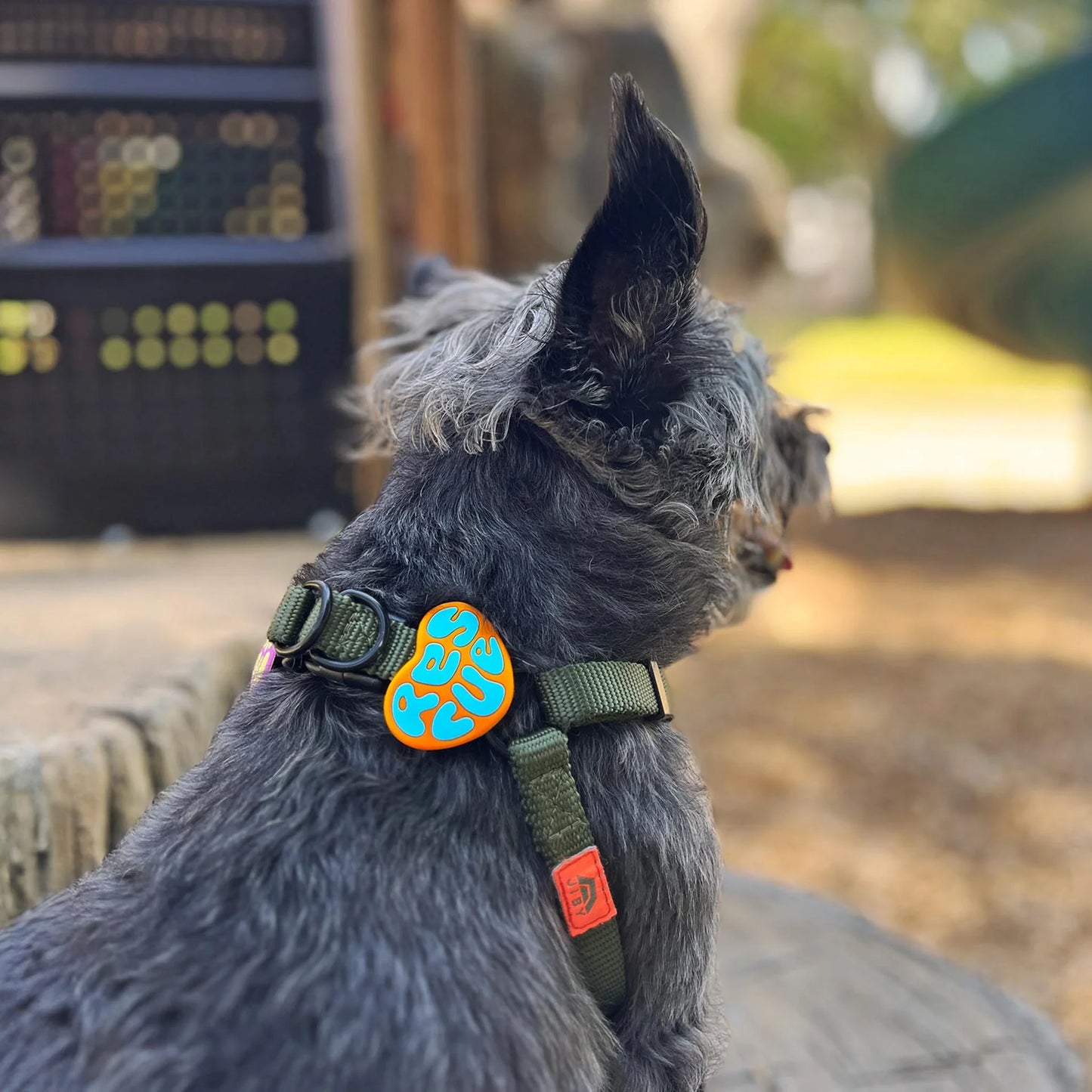 Jiby Dog Crew Dog Jibys Rescue Charm
