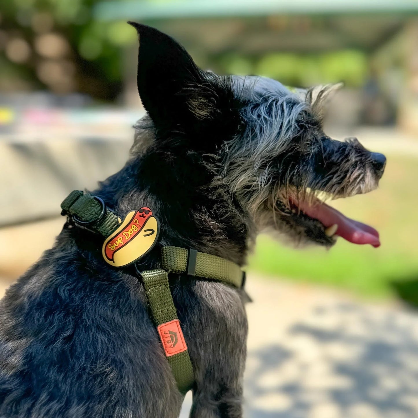 Jiby Dog Crew Dog Jibys Sup Dog Charm