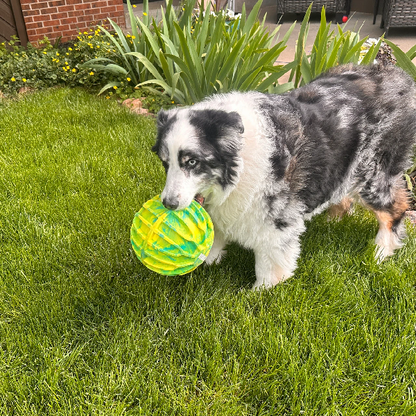 KONG Flexball Sport Ball Extra Large