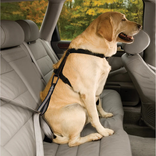 Kurgo Vehicle Seatbelt Tether Black