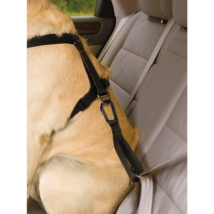 Kurgo Vehicle Seatbelt Tether Black