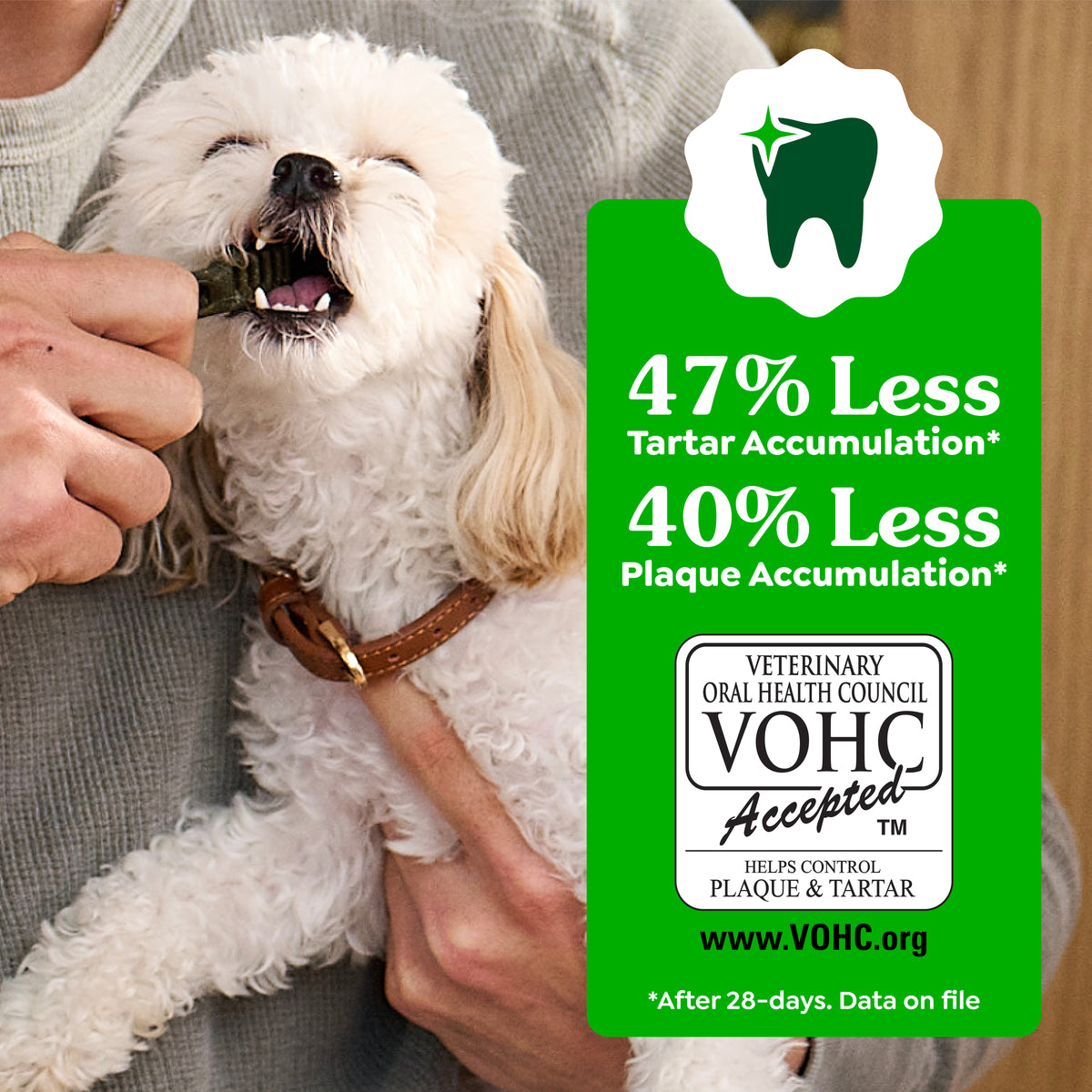 Greenies Blueberry Dental Chews 340g
