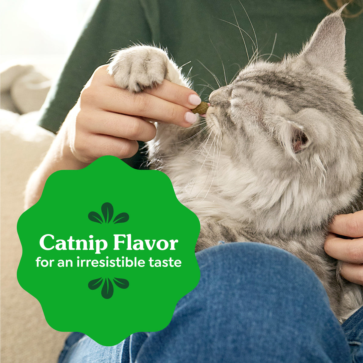 Greenies Feline Tempting Tuna Cat Treats