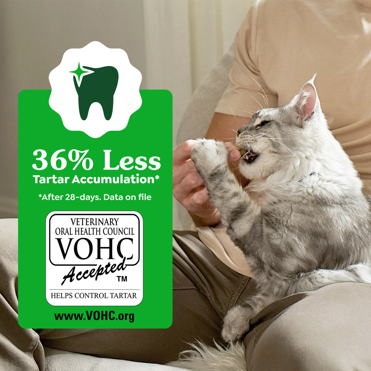 Greenies Feline Catnip Cat Treats
