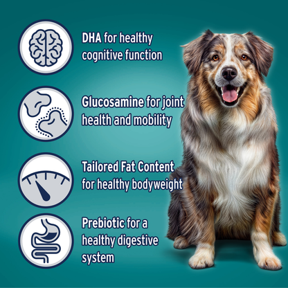 Advance Healthy Ageing Medium Breed Chicken with Rice Dry Dog Food