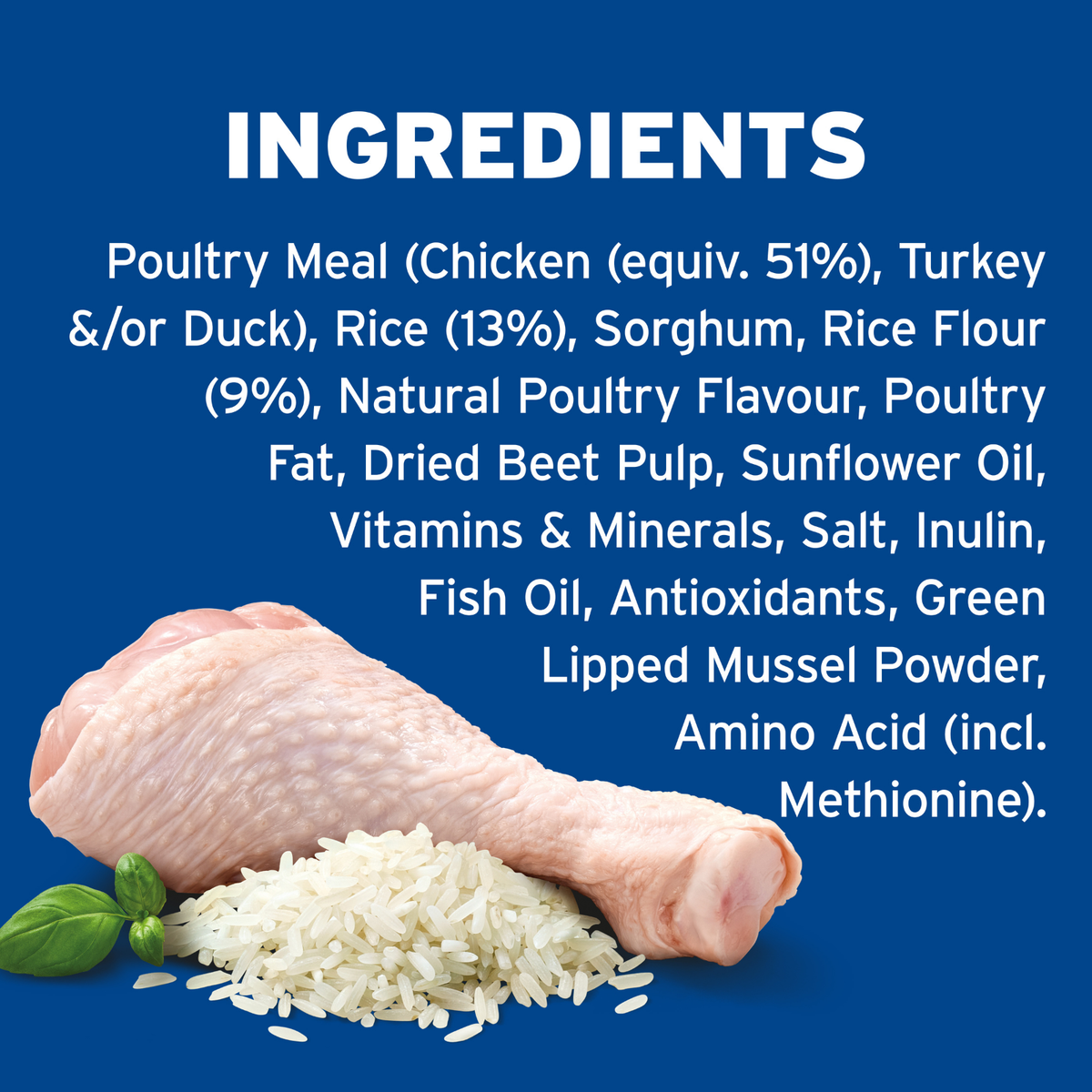 Advance Healthy Ageing Medium Breed Chicken with Rice Dry Dog Food