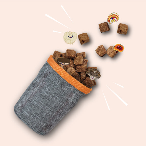 Naturawr Mushrooom for Dogs 50g