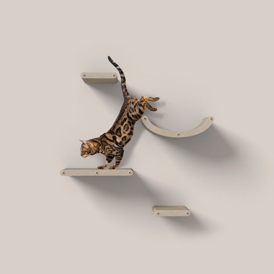 Pryde Set of 4 Oatmeal Cat Climbers