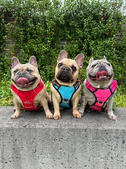 DOOG Neotech Harness Beethoven