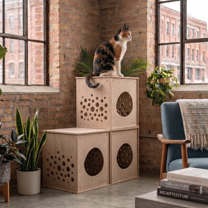 A calico cat sits atop a stack of three light wood cat houses with circular ventilation holes, placed in a bright room with brick walls, large windows, potted plants, and a blue armchair.