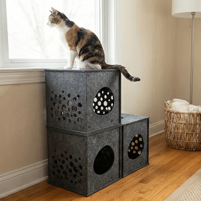 Cat sitting on a multi-level cat tree in a room with a window and basket.