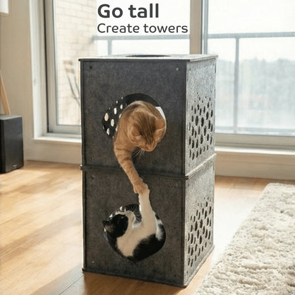 Cat playing with a multi-level cat tree in a room with large windows.