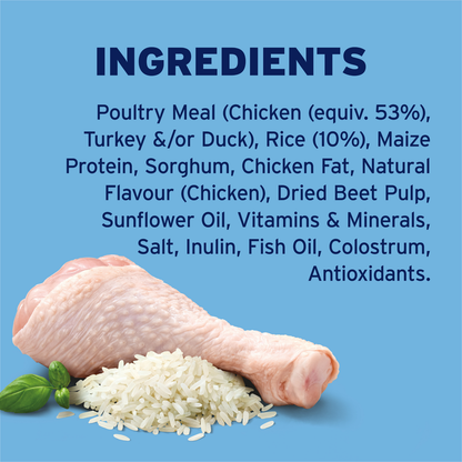 Advance Puppy Medium Breed Chicken with Rice Dry Dog Food