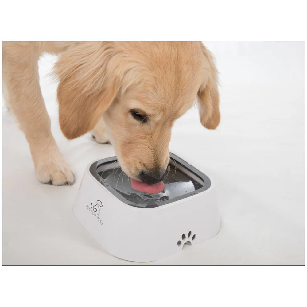 All Fur You Anti Splash Grey Dog Water Bowl