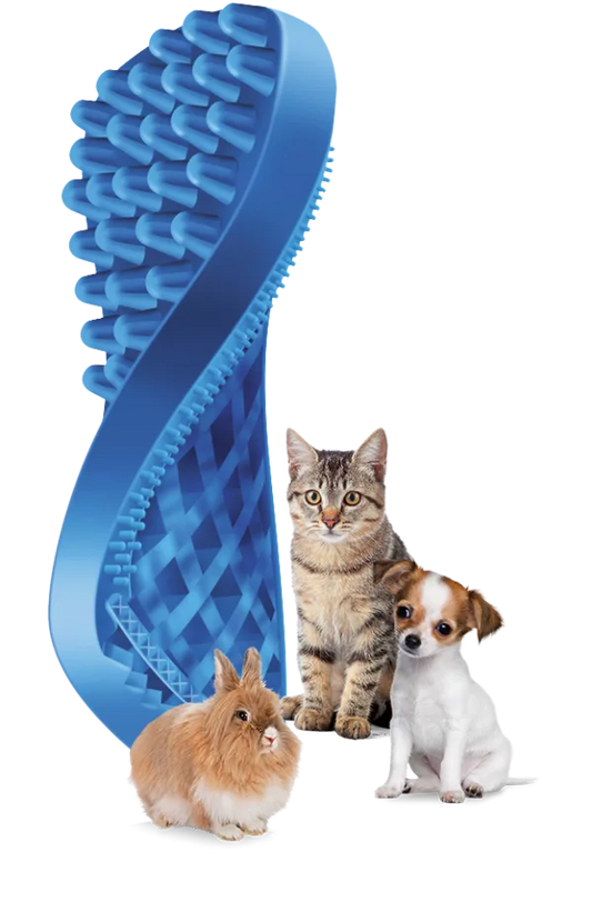 Pet + Me Blue Silicon Brush Soft