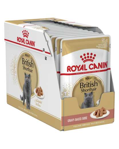 Royal Canin British Short Hair Cat Wet Food Pouches in Gravy