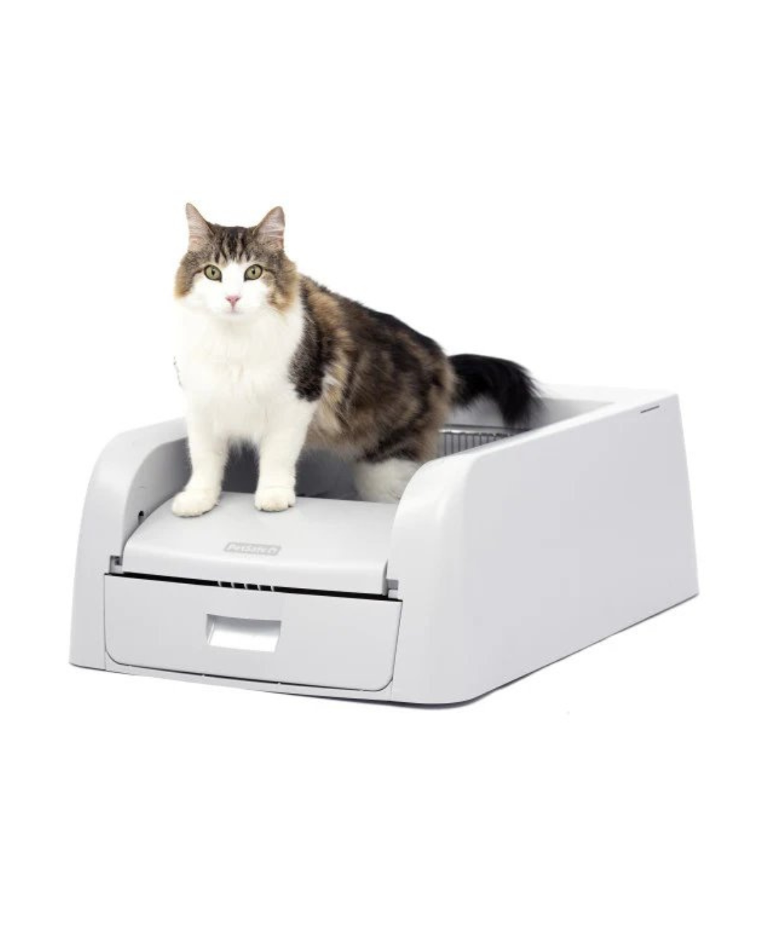 PetSafe ScoopFree Clumping Self-Cleaning Litter Box