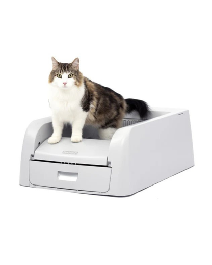PetSafe ScoopFree Clumping Self-Cleaning Litter Box