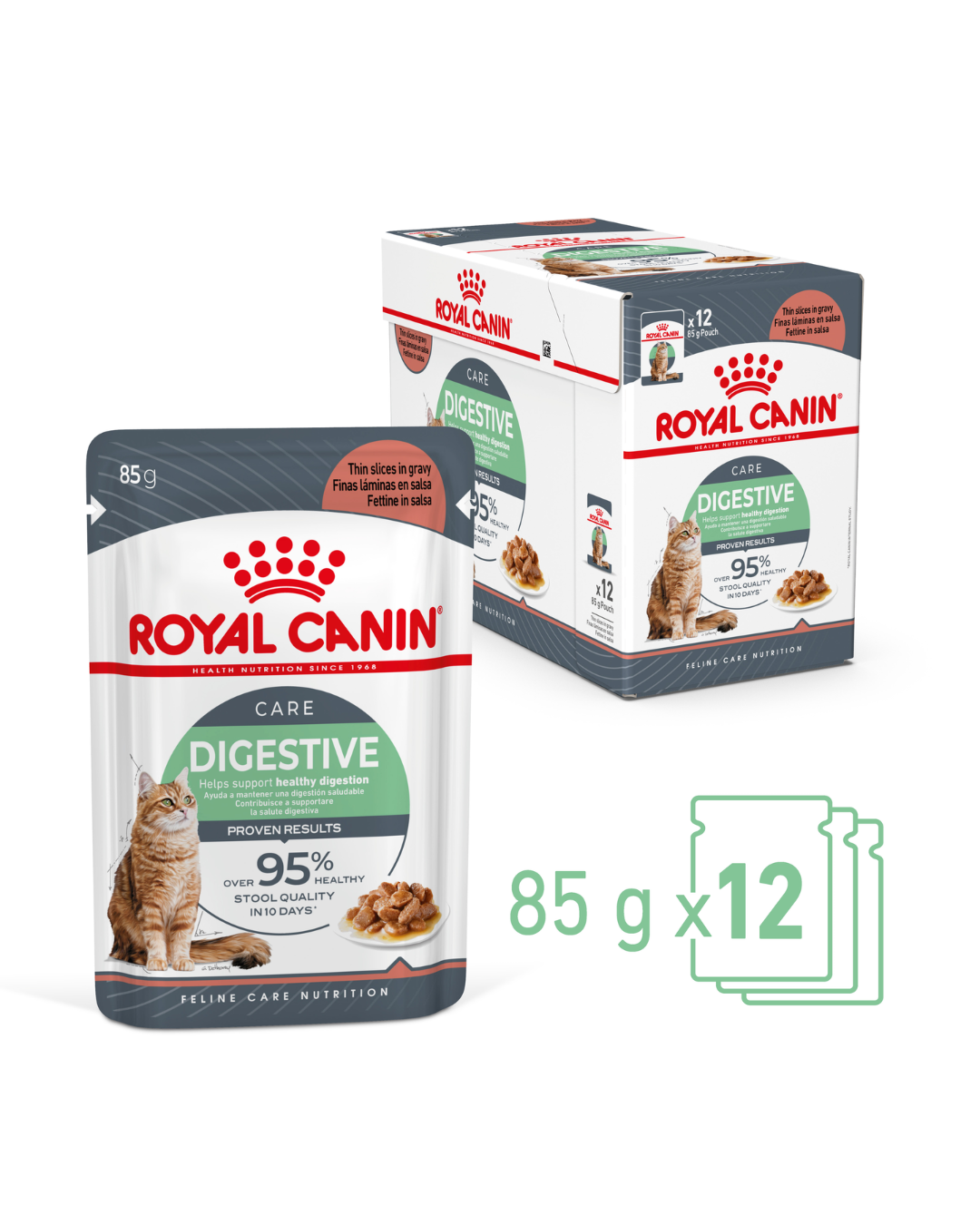Royal Canin Digestive Care Cat Wet Food Pouches in Gravy