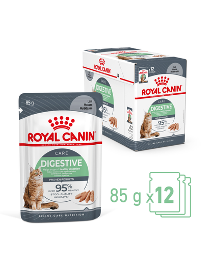 Royal Canin Digestive Care Cat Wet Food Pouches in Loaf