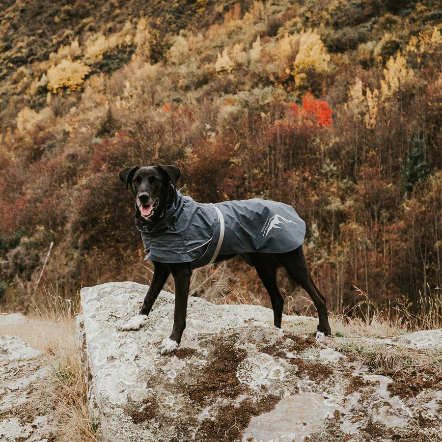 Huskimo Dog Waterproof Raincoat Thunderstorm