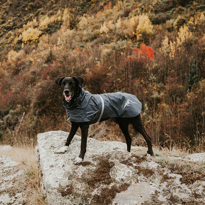 Huskimo Dog Waterproof Raincoat Thunderstorm