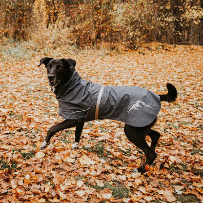Huskimo Dog Waterproof Raincoat Thunderstorm