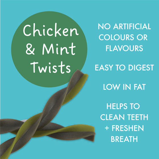 KIDDO Dental Chicken & Mint Dog Twists Small 10 Pack