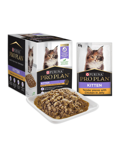 Pro Plan Kitten Chicken Jelly Wet Cat Food Pouches