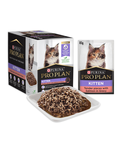 Pro Plan Kitten Salmon Gravy Wet Cat Food Pouches