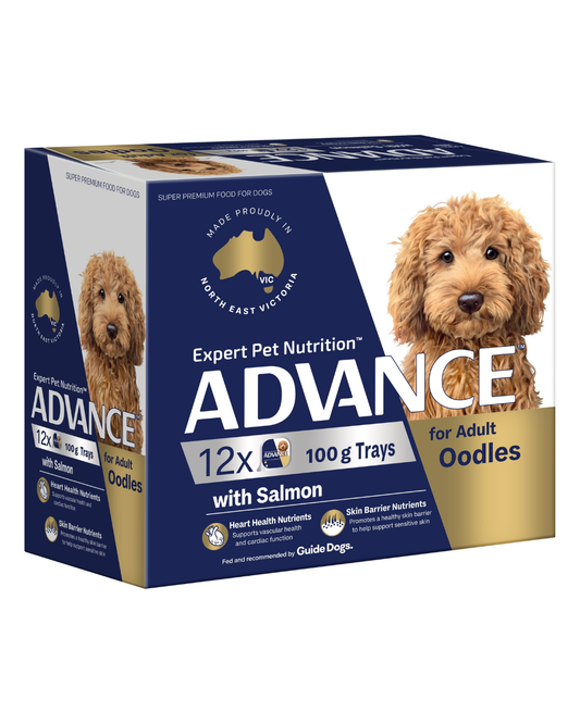 ADVANCE Wet Adult Dog Food Oodles with Salmon 100g x 12
