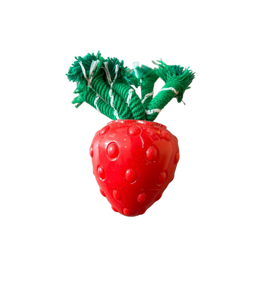 Ruff Play Squeaky Strawberry Dog Toy