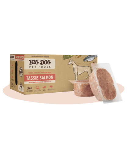 Big Dog Tasmanian Salmon Raw Dog Food (12x250g/3kg)